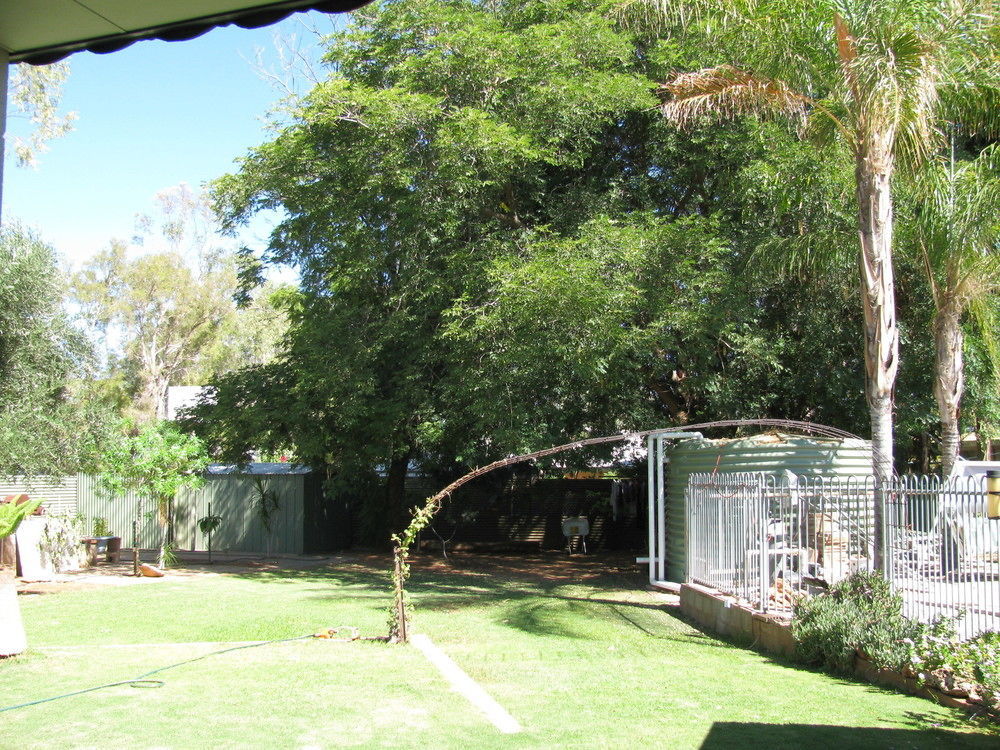 Kathys Place Bed And Breakfast Alice Springs Eksteriør bilde